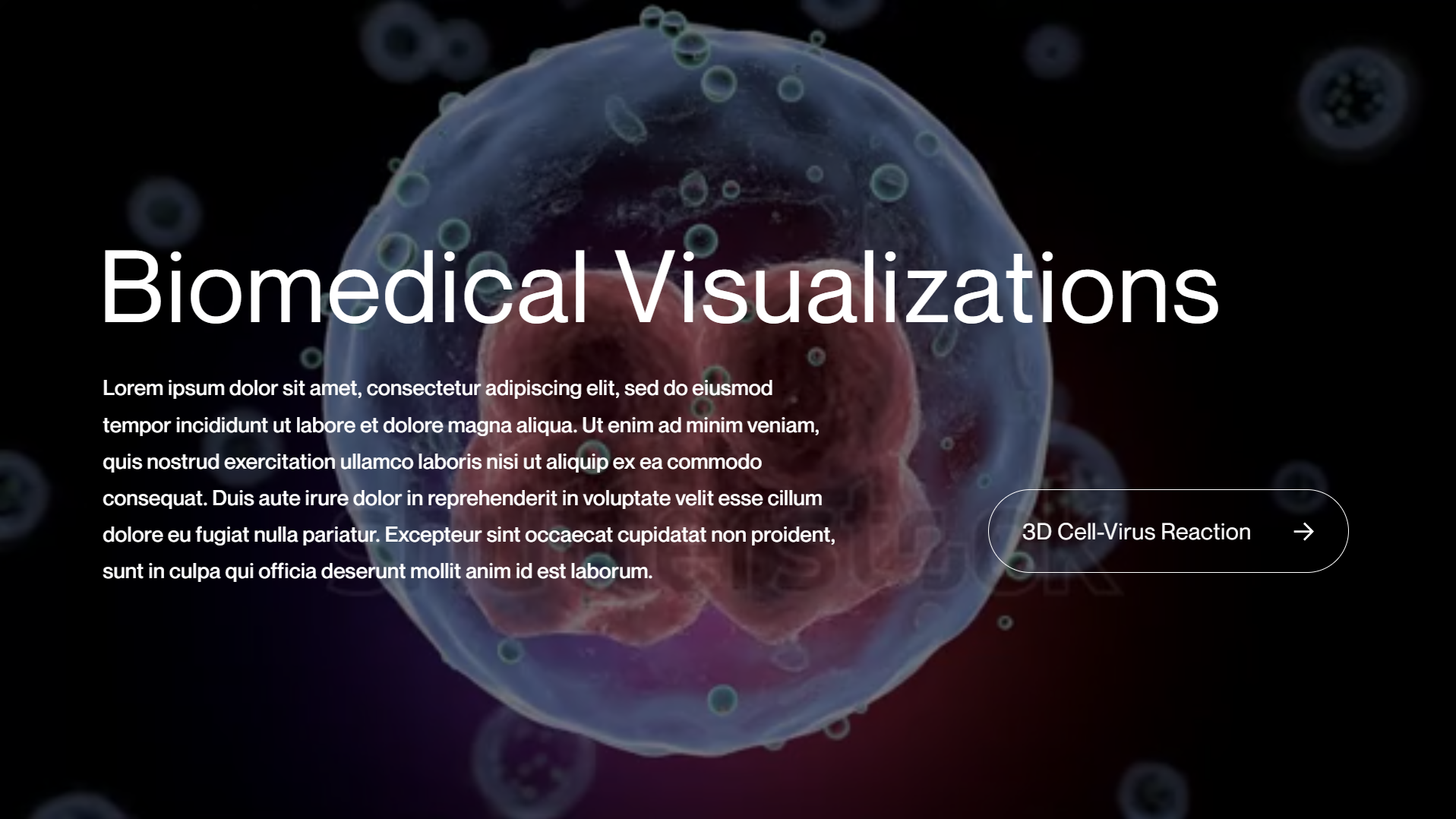 Biomedical Visualizations